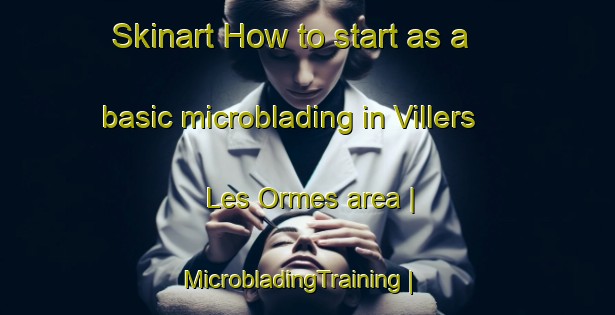 Skinart How to start as a basic microblading in Villers Les Ormes area | MicrobladingTraining | MicrobladingClasses | SkinartTraining-France